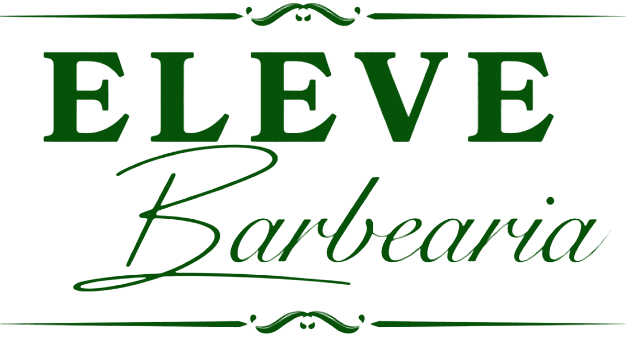 Eleve Barbearia
